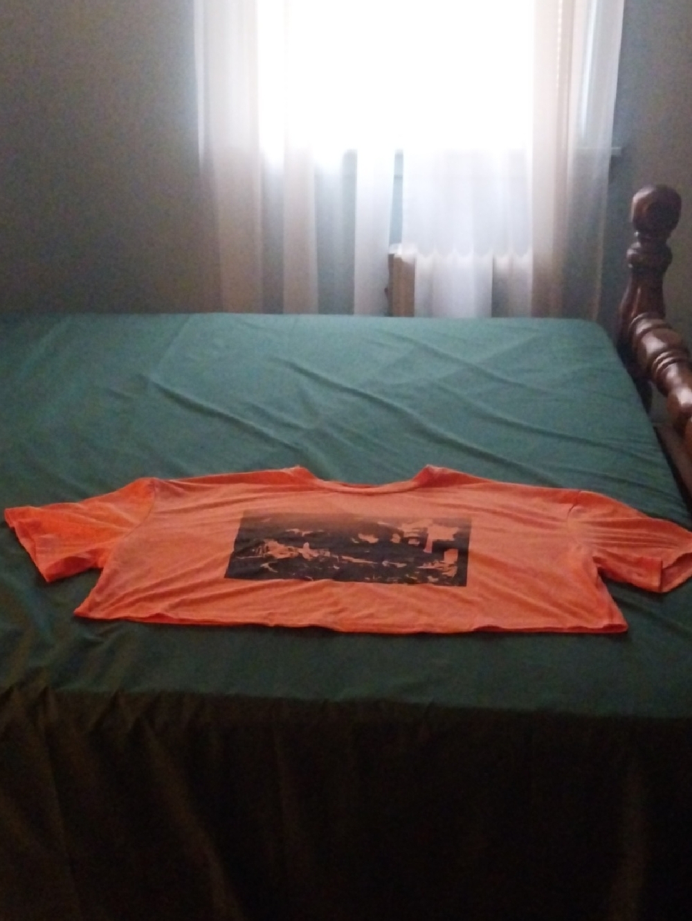 SHEIN CURVE Orange Graphic Crop Tee